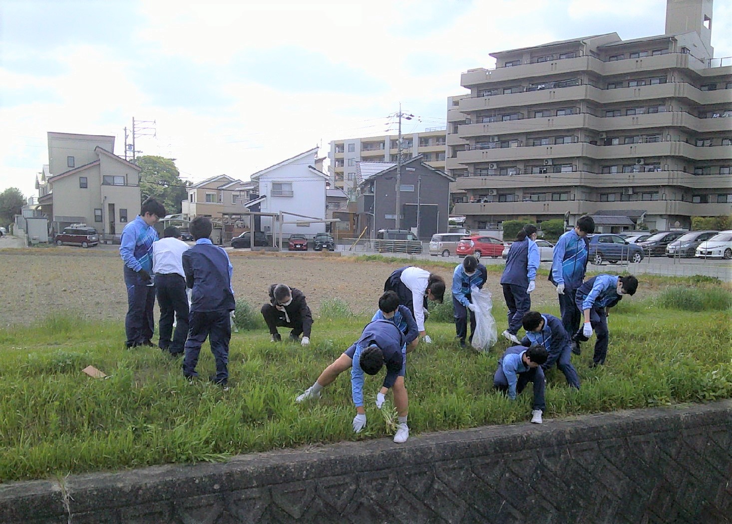 駆除活動の様子1