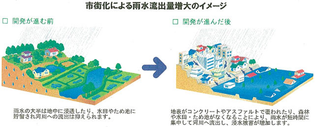 （イラスト）左の絵は開発前は降った雨が田畑や地面にしみ込んで川に直接流れ込みませんが、右の絵は開発が進むと降った雨が、舗装の上や側溝を通り、直接川に流れる時間も早くなり、流れ込む量も多くなります。