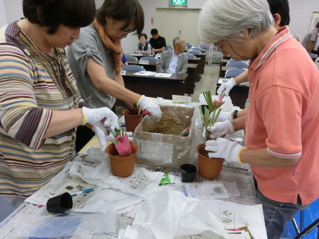 (写真)かきつばた植付講習会2