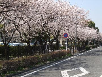 （写真）応募例の写真