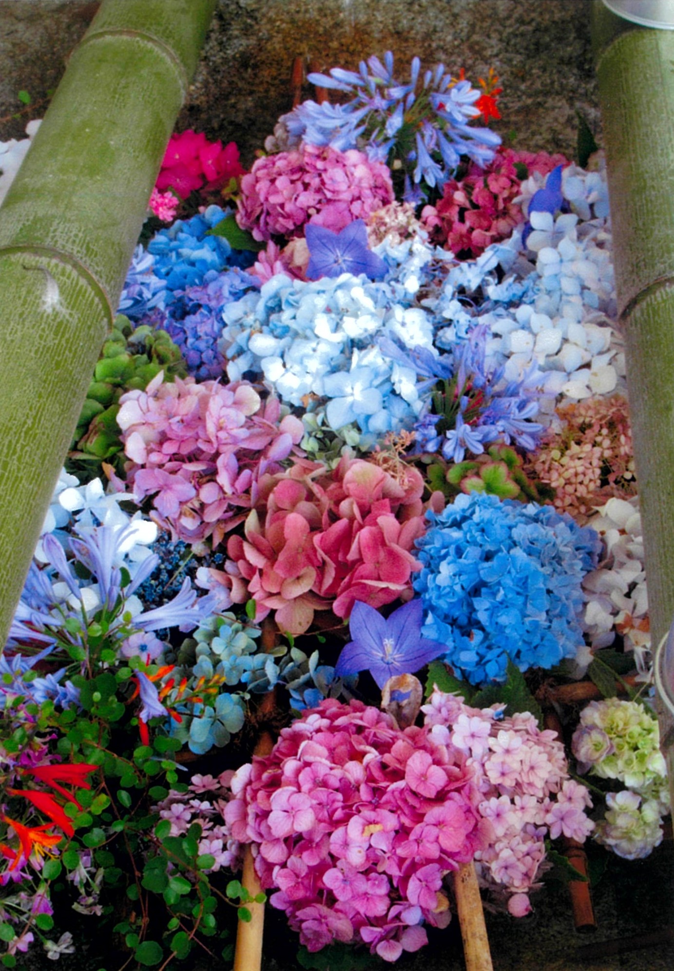花手水