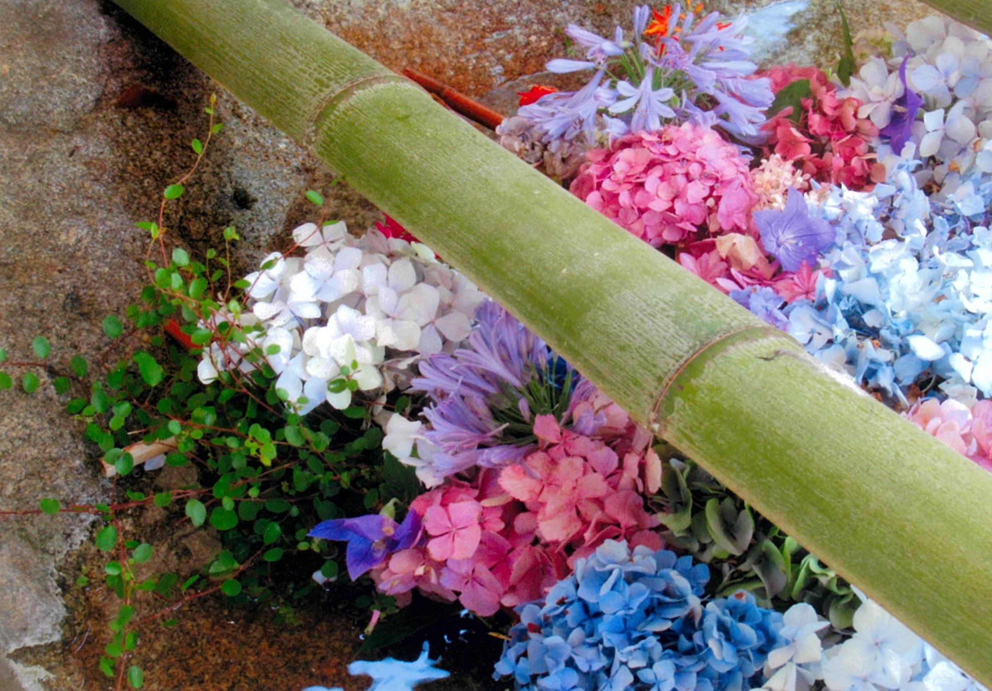 花手水