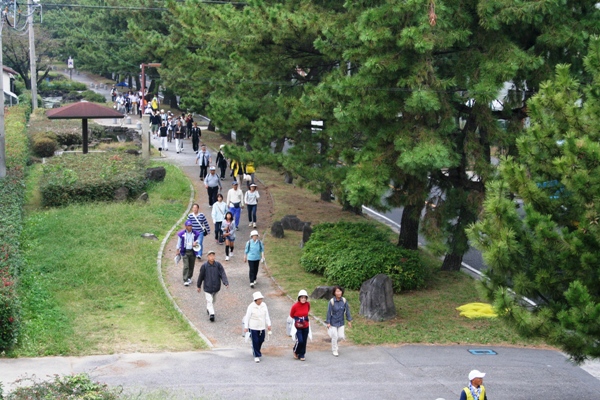 (写真)歩道橋より松並木を望む