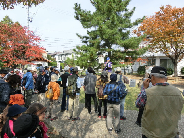 （写真）かきつ姫公園