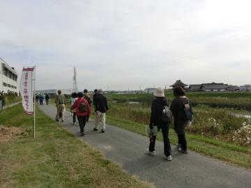 （写真）逢妻河川