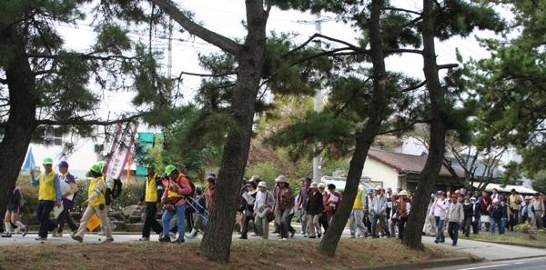 (写真)東海道松並木