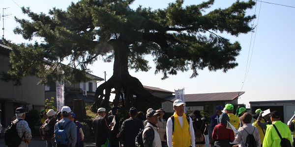 (写真)さらに歩を進め、名所旧跡をたどります。