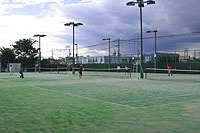 昭和テニスコート