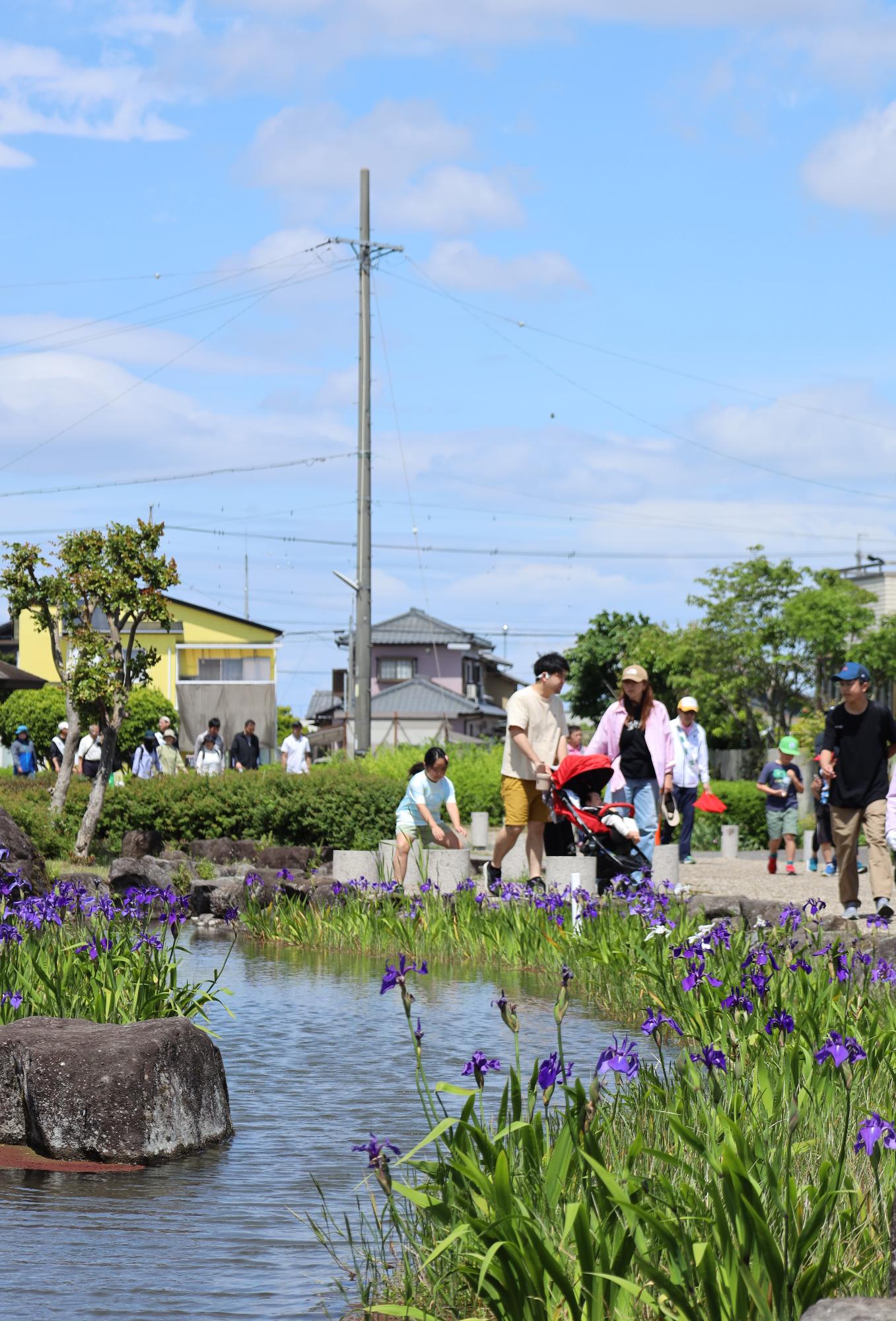 花の咲いた道を歩く皆さん
