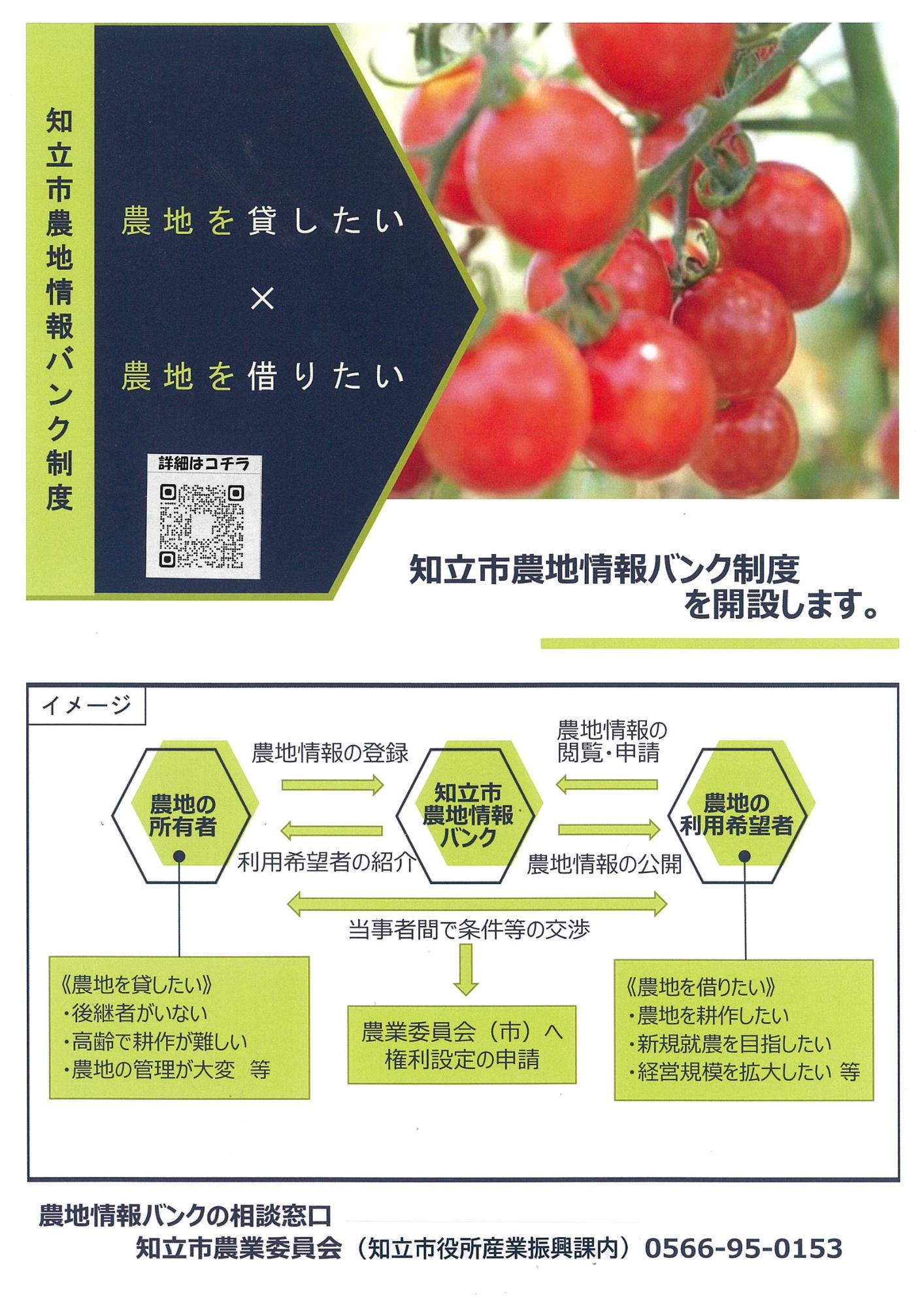 チラシ