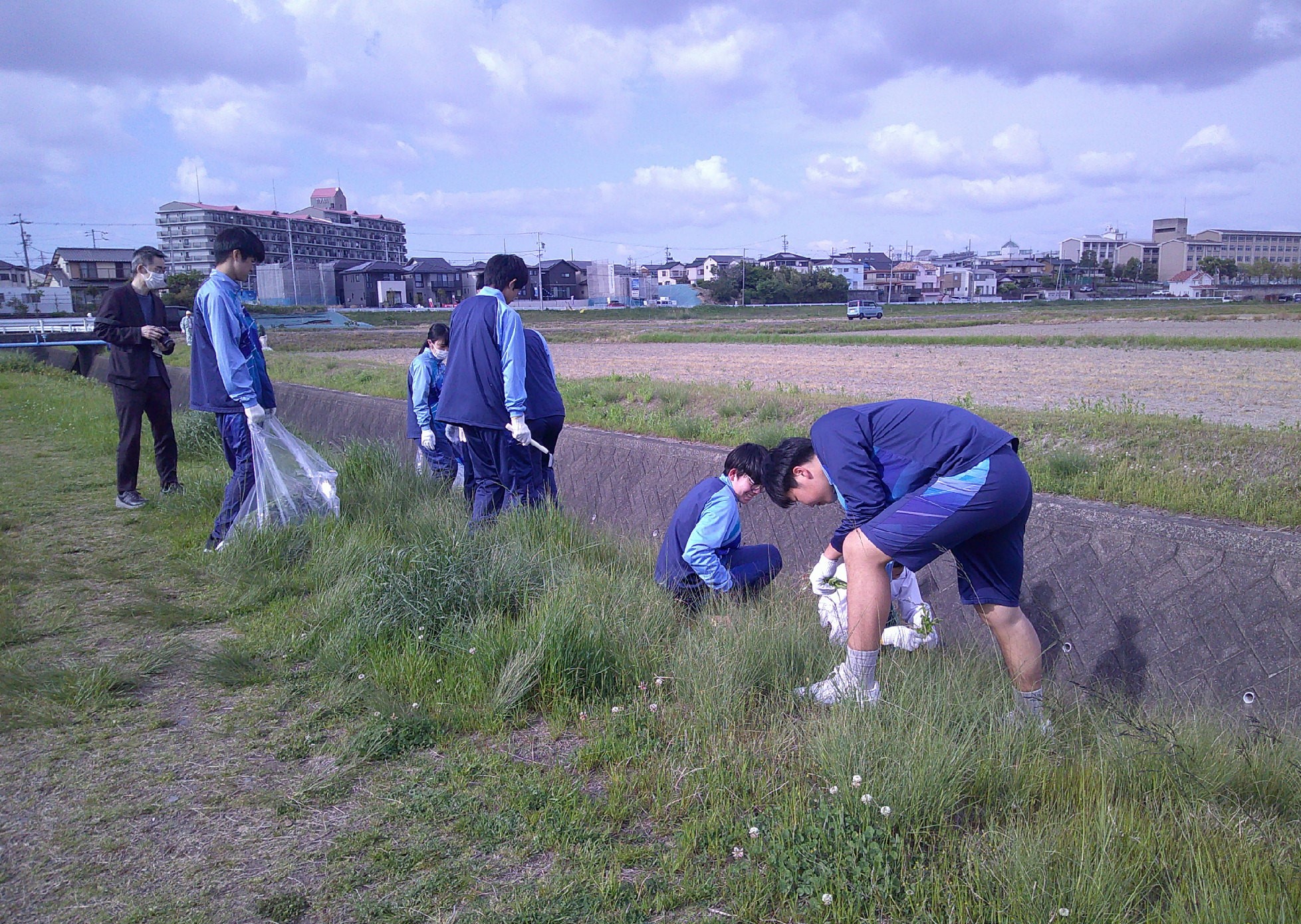 駆除活動の様子2
