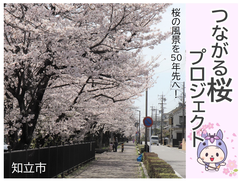 クラウドファンディング「つながる桜プロジェクト」