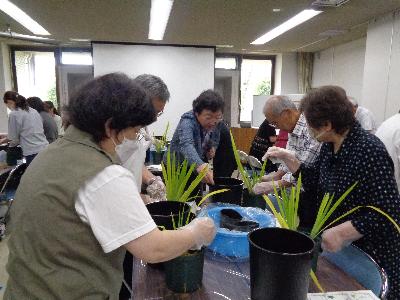 令和8年度かきつばた植付講習会