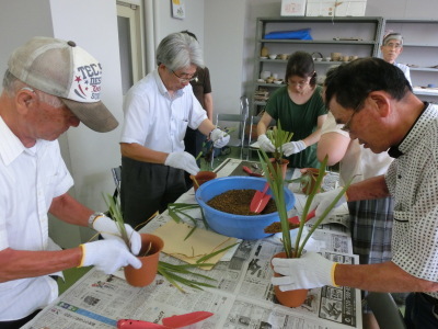 （写真）植え付け作業の様子