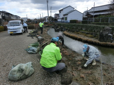 （写真）補植作業の様子