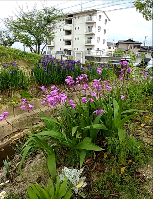 シラン