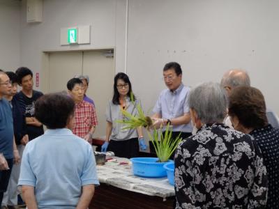 令和7年度かきつばた植付講習会