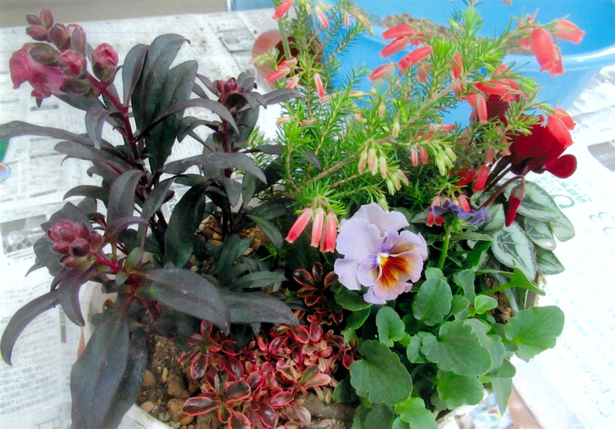 フラワーバスケット