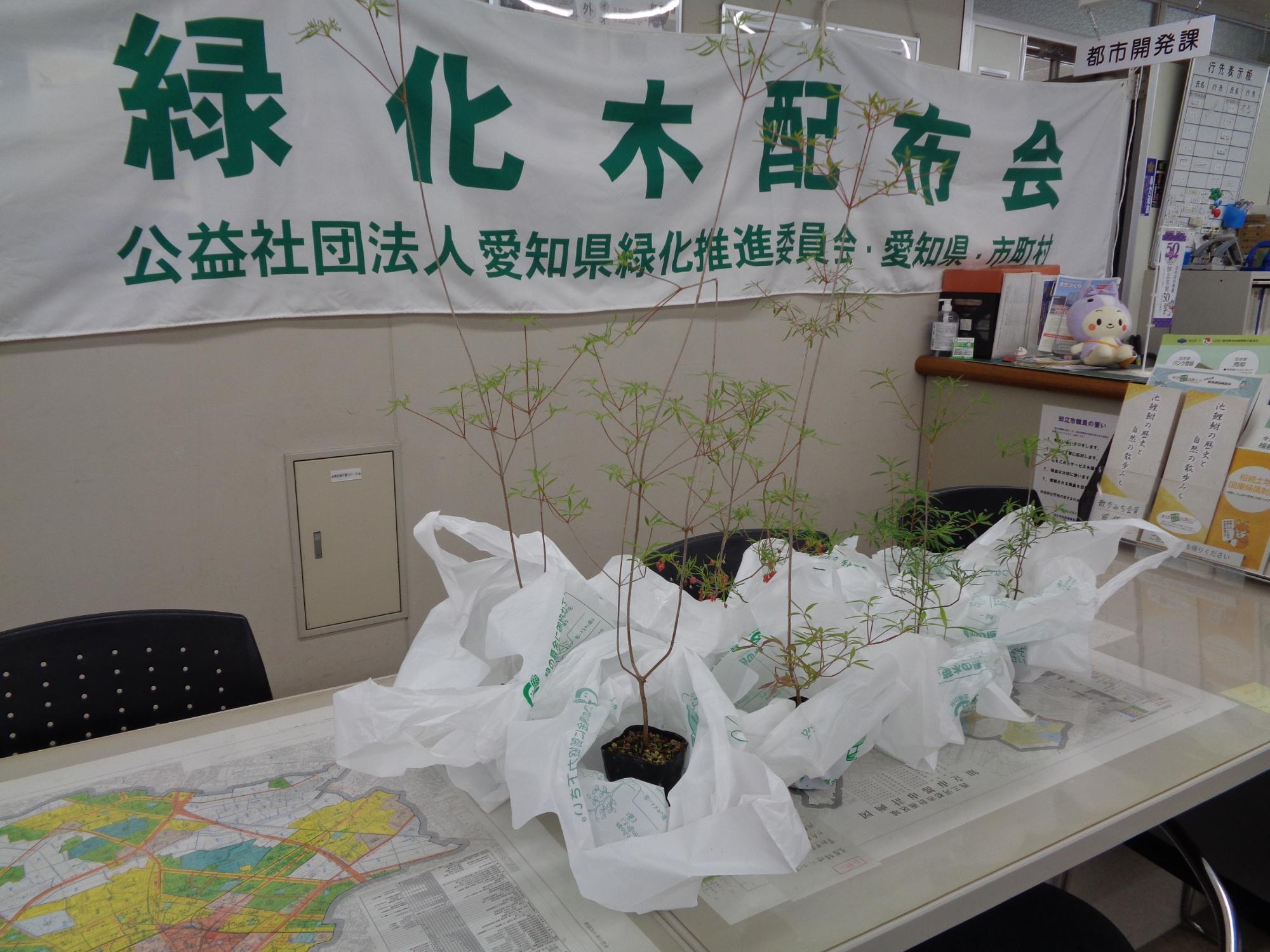 R7緑化木配布