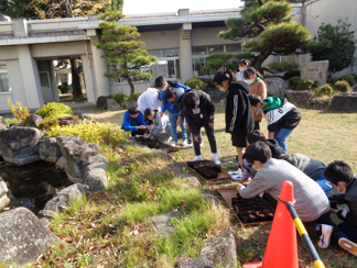 かきつばた植え付け　来迎寺小学校