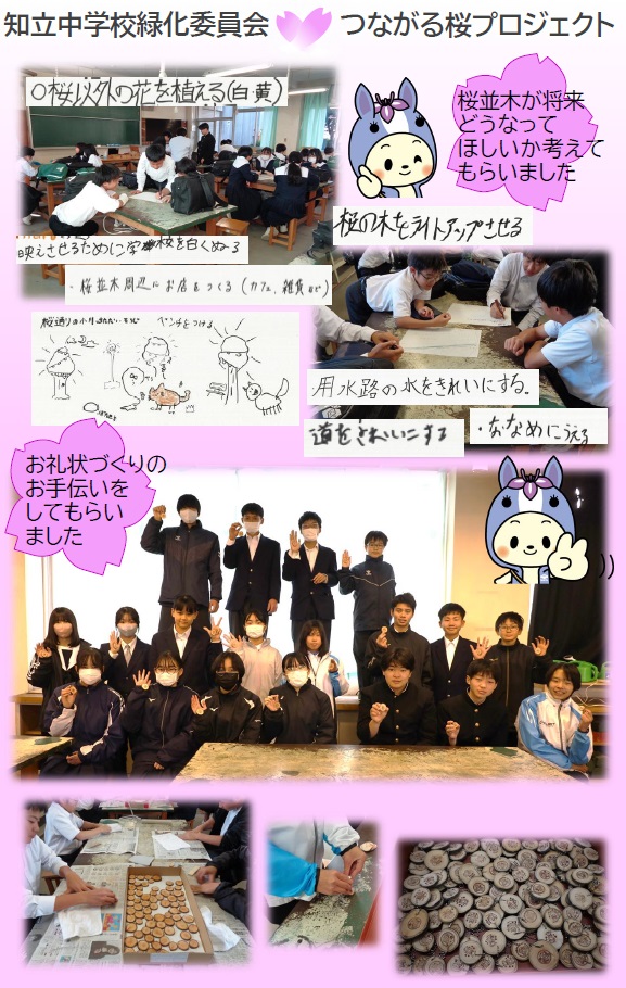 つながる桜プロジェクト2年目知中緑化委員会コラボの報告写真