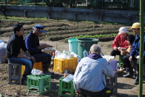 もやいこ農園11月10日2